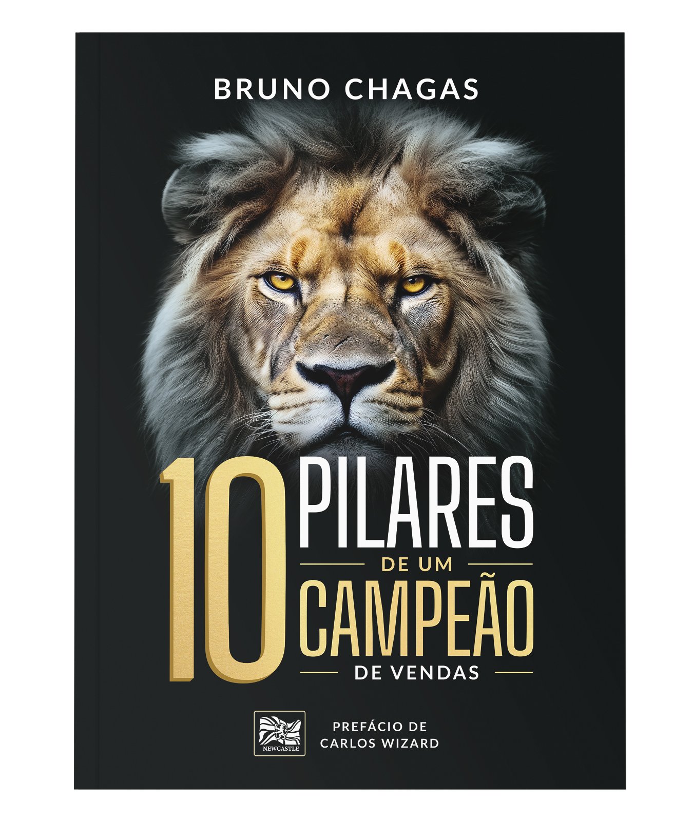10 Pilares de um Campeão de Vendas